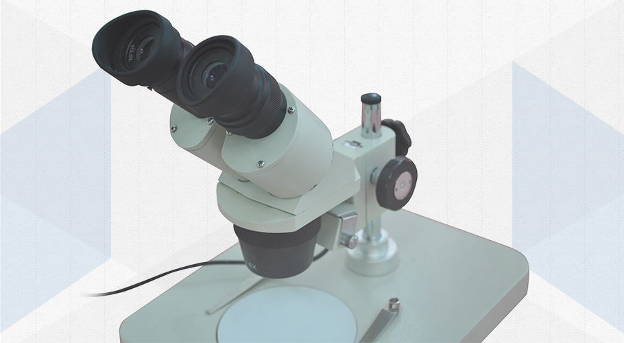 Standard microscope